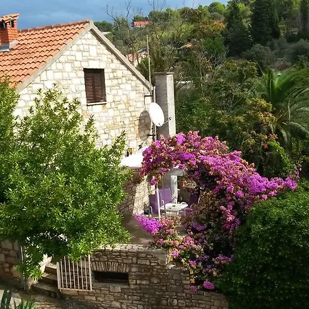 Tara Apartament *